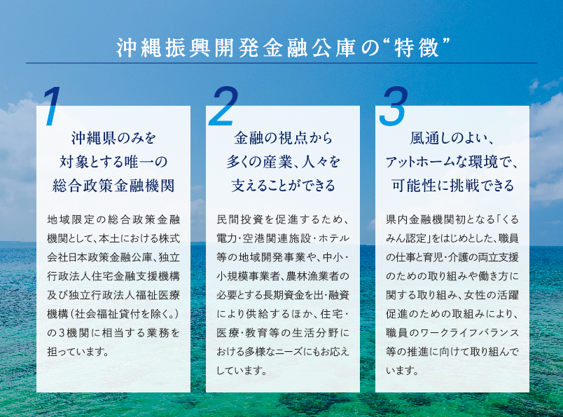沖縄振興開発金融公庫の特徴